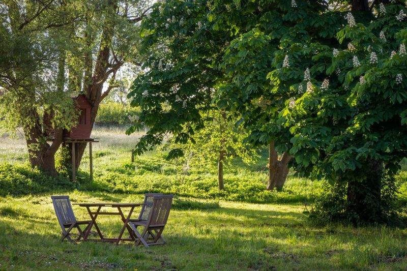 Réorganisation illustrative d’un jardin résidentiel pour un meilleur usage quotidien