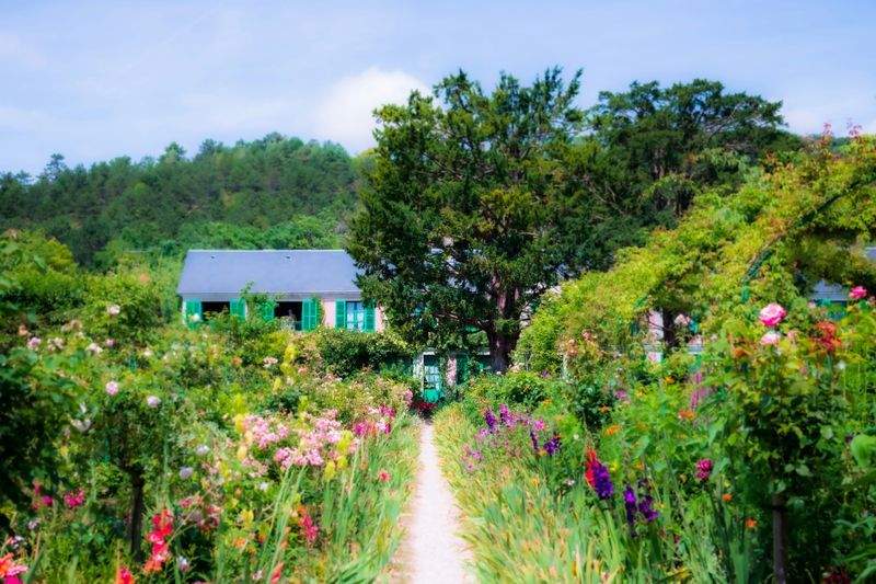 Jardins Harmonie Paysage 13