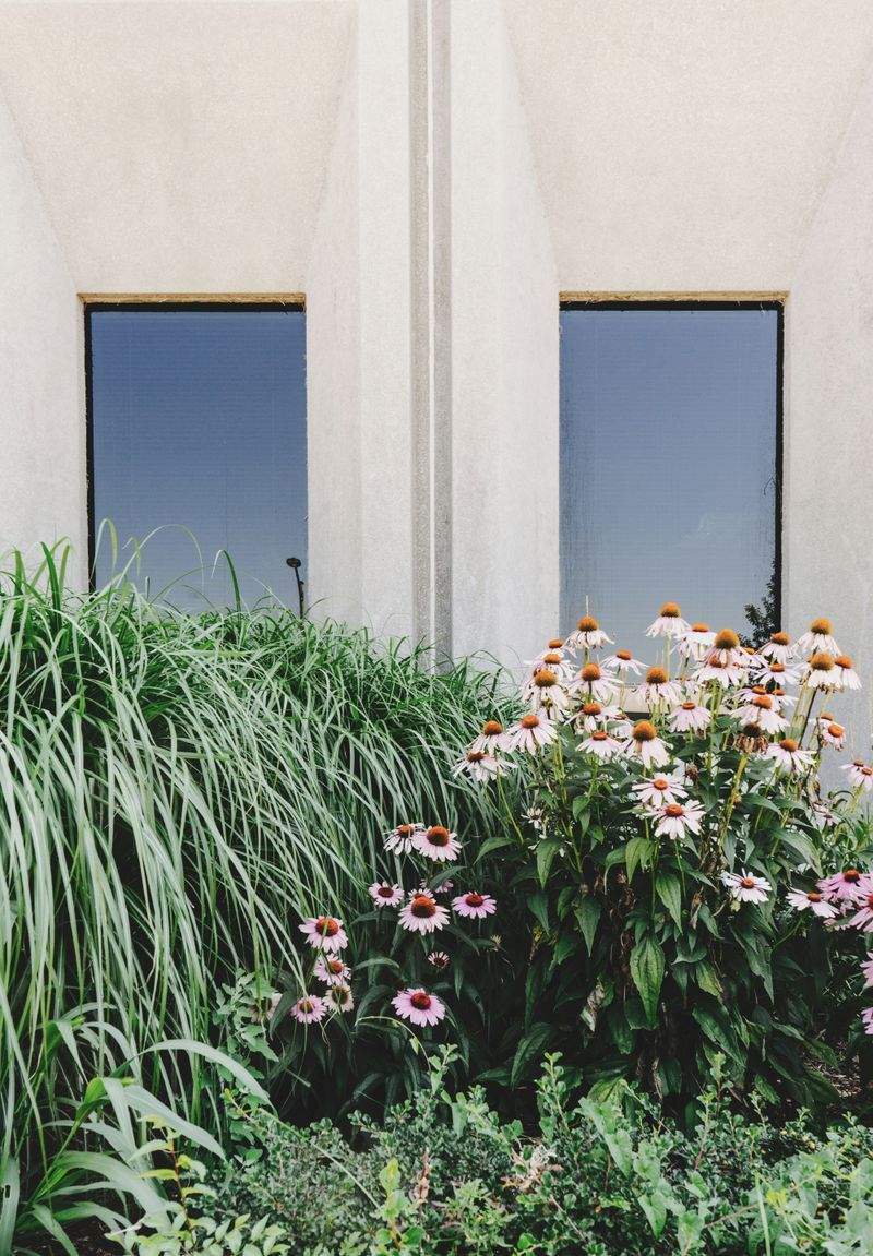Jardins Harmonie Paysage 4