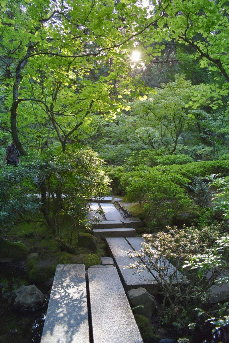 Jardins Harmonie Paysage 8