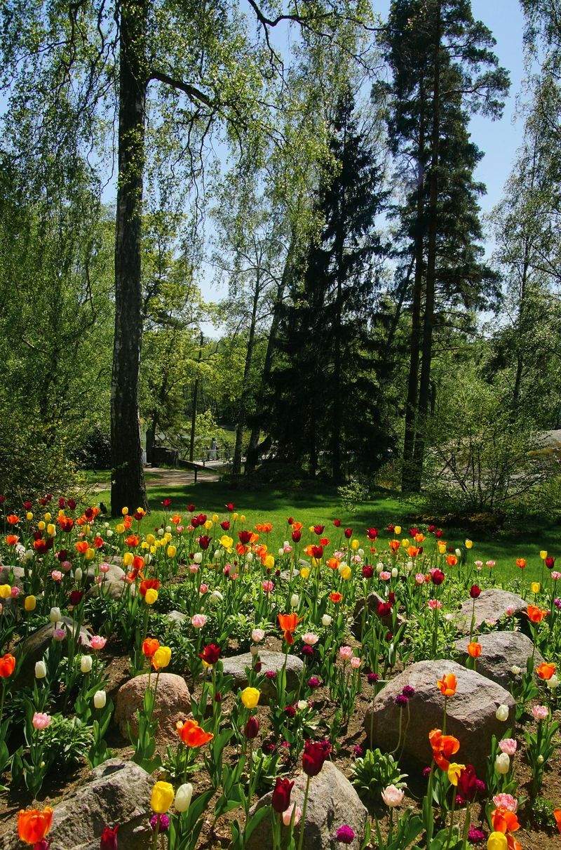 Jardins Harmonie Paysage