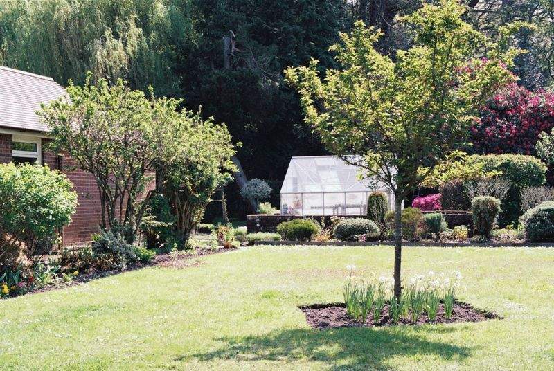 Tonte de pelouse et entretien régulier des jardins