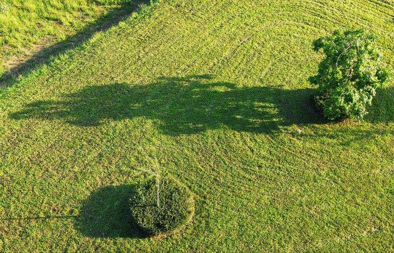 Débroussaillage et nettoyage de terrains